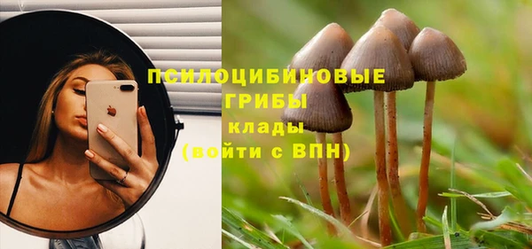 СК Краснослободск