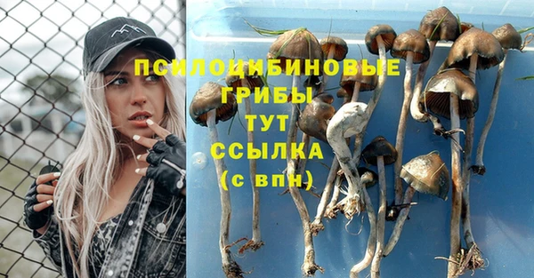 крисы Краснотурьинск